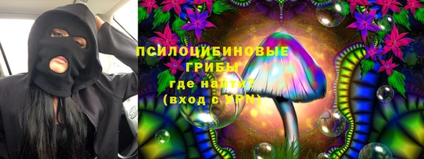 круглые Абаза