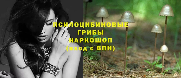 гидропоника Абдулино