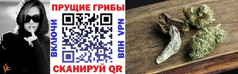 Псилоцибиновые грибы ЛСД  дарнет шоп  Новоалтайск 